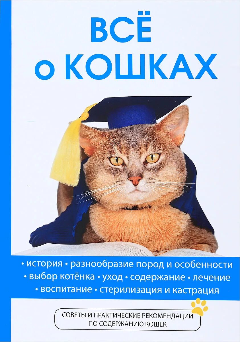Коте информация. Кот информация. все о кошках. книги про кошек. информация о котиках.