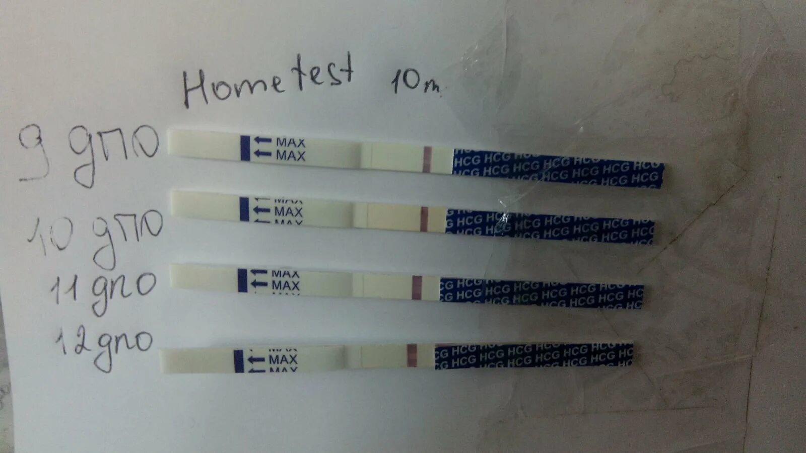 Отзывы о тесте на беременность. Хоум тест на беременность. HCG тест на беременность. Домашний тест (Home-Test). HOMETEST отзывы тест на беременность.