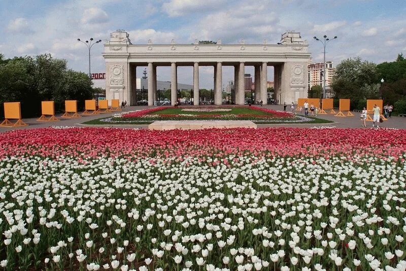 Парк горького октябрьская. Парк культуры Горького Москва. Центральный парк культуры и отдыха имени Максима Горького Москва. Партер в парке Горького. Горьковский парк Москва.