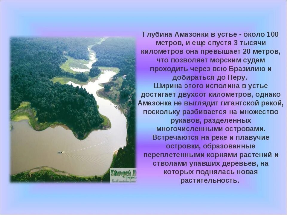 Амазонка какое устье. Речная система реки Амазонка 6 класс география. Протяженность реки Амазонка. Амазонка река ширина. Амазонка река глубина максимальная.