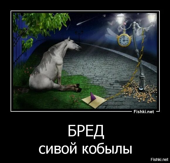 Несите почему и