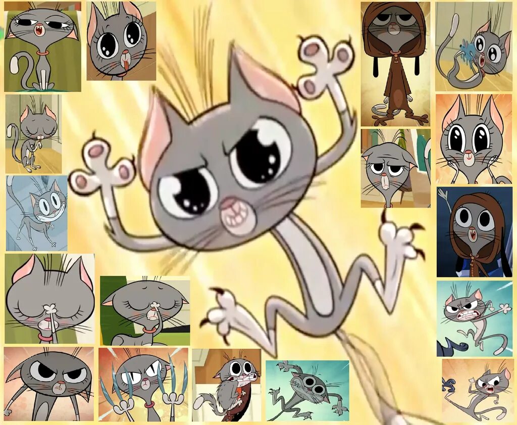 Зип кот. Зип кот