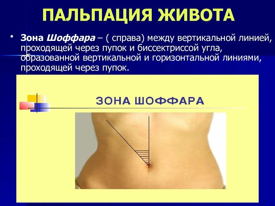 Деление живота на области. Мышцы шейно-воротниковой зоны сзади. Твердо с правой стороны. Болит живот слева. Мышцы шейно-воротниковой зоны сзади.