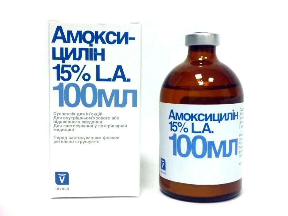 Амоксициллин 15% 100 мл Invesa. Амоксициллин 15% 100мл Инвеса. Амоксициллин 15% 10 мл Invesa. Амоксициллин 100 мл. Invesa.