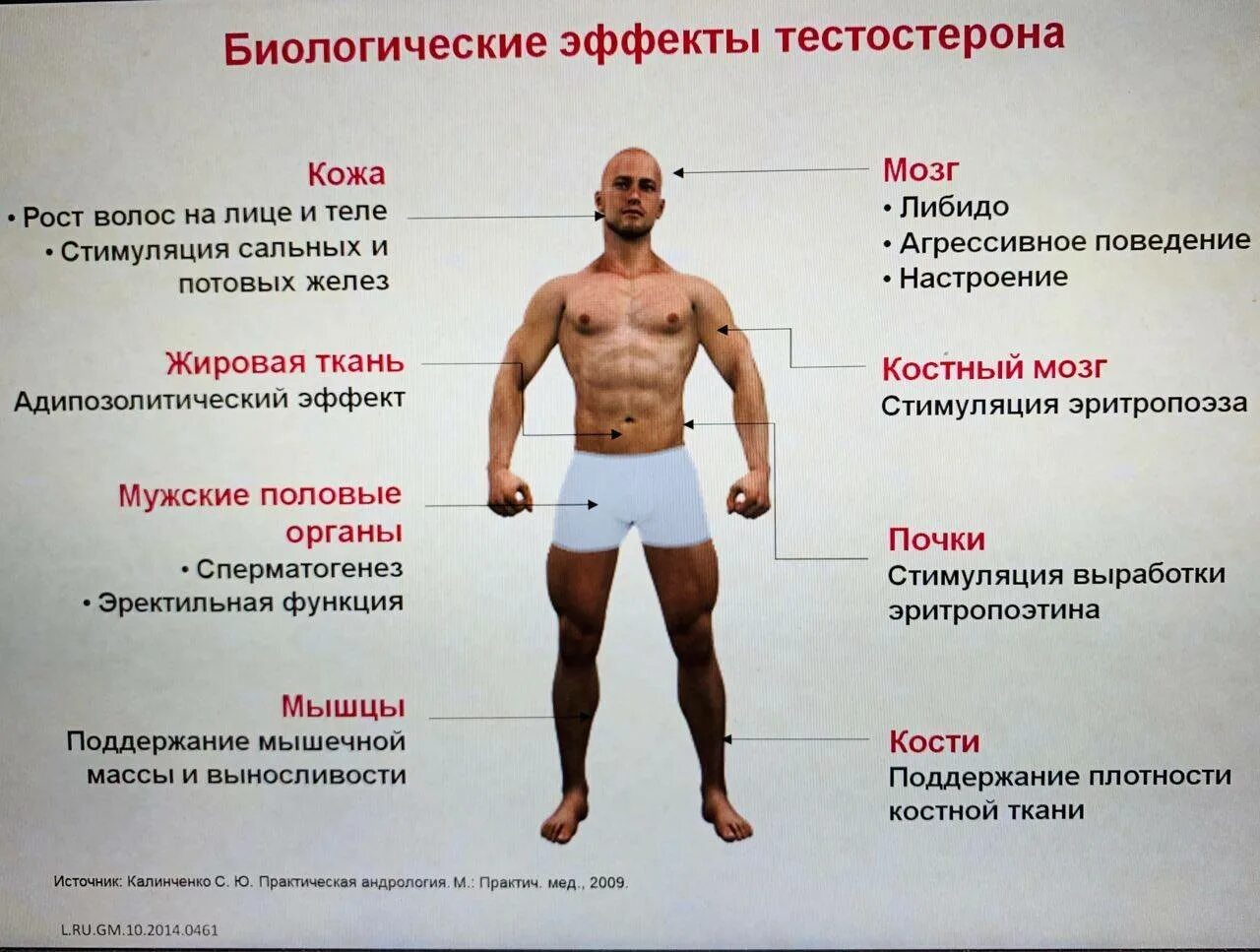 Как определить уровень мужчины