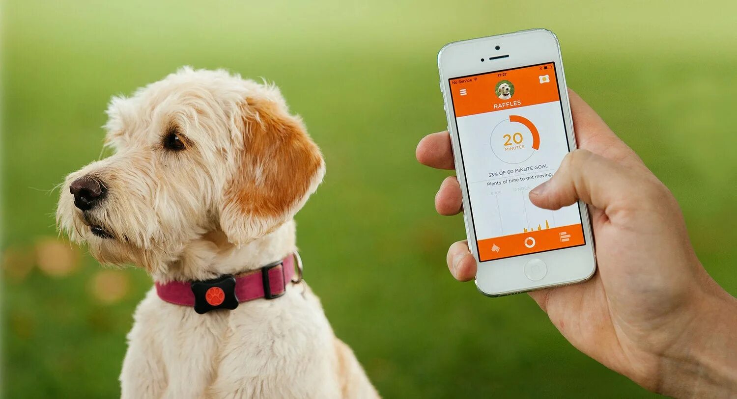 Ошейник Pet GPS-трекер. Жпс трекер для собак. Трекер Pet GPS Tracker. Трекер Pet GPS Tracker для питомцев. Фф pet