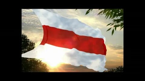 Бел чырвона белы