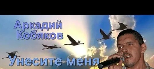 Песня уносили меня уносили туда. Унесите меня Журавли Кобяков.