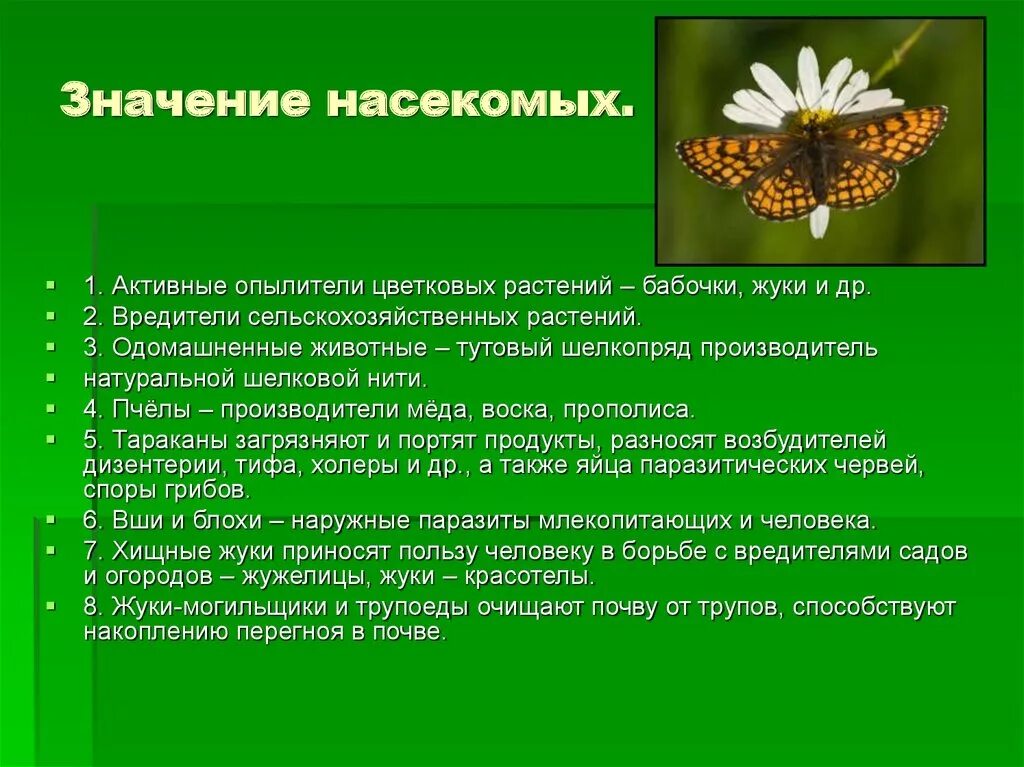 Проект о значении насекомых 8 класс Картинки ОПИШИТЕ РОЛЬ НАСЕКОМЫХ ПРИРОДЕ В ЖИЗНИ ЧЕЛОВЕКА