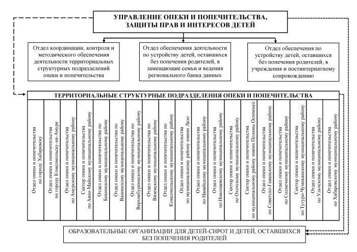 Структура отдела опеки и попечительства.