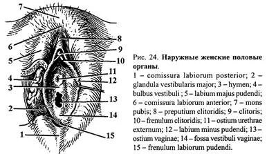 Писка фотосына кездейсоқ емес қарау