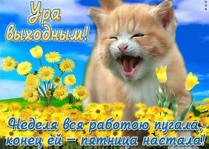 Что делать неделю выходных