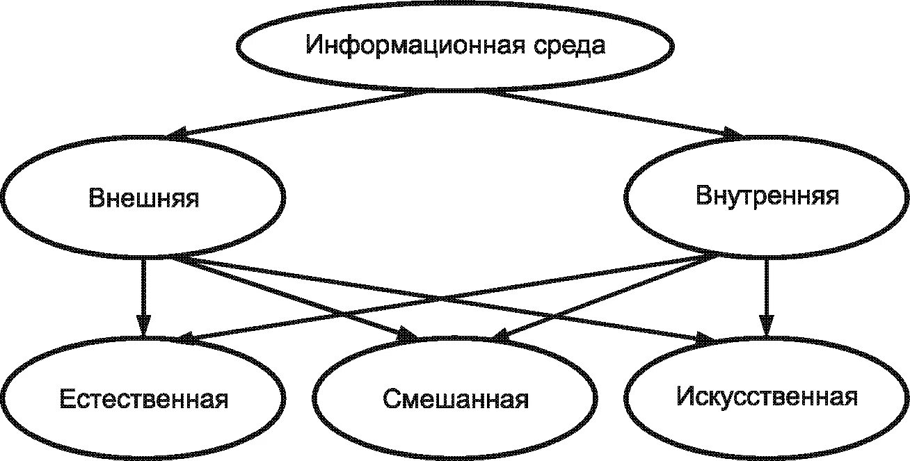 Структура информационной среды. Внешняя информационная среда. Информационная среда схема. Структура среды информационной системы.