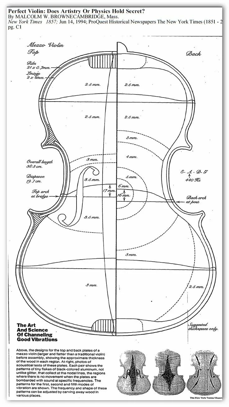 Чертежи скрипки Гварнери. Скрипка чертеж. Чертеж контрабаса с размерами. Чертеж скрипки с размерами.