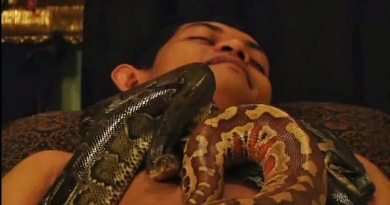 жрец задушенный змеями