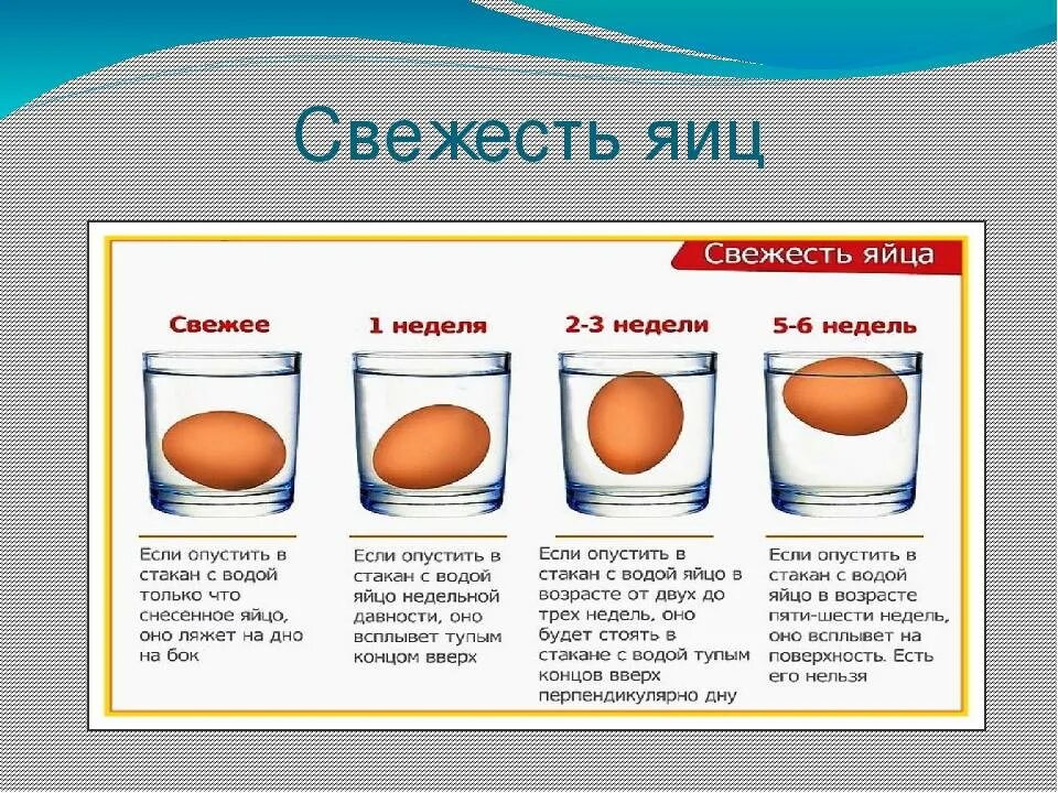 Тухлое ли яйцо. Определить свежесть куриного яйца. Как проверить яйца на свежесть в домашних условиях. Как определить свяжусь яиц. Проверка ЧТЦ на сведесть.