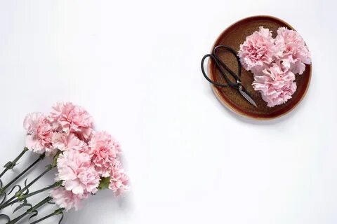 Lay flowers