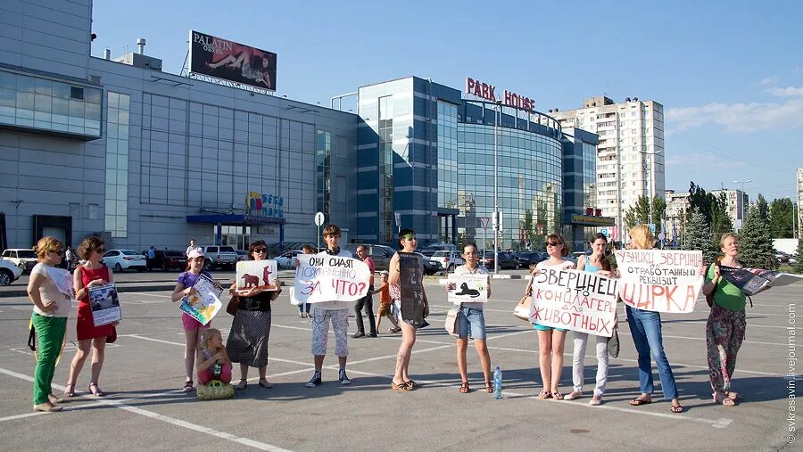 Парк Хаус Волгоград. ТРК парк Хаус Волгоград. Парк Хаус Ростов. Парк Хаус Волгоград фото 2012. Кинотеатр парк хаус волгоград сегодня