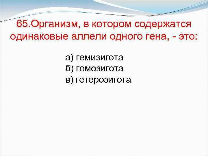 Генотип содержащий одинаковые аллели одного гена. Генотип содержащий одинаковые аллели одного гена