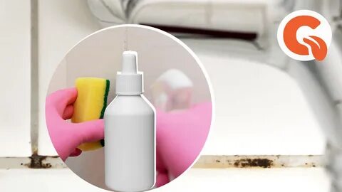 Плесень на герметике в ванной - Roleton.ru