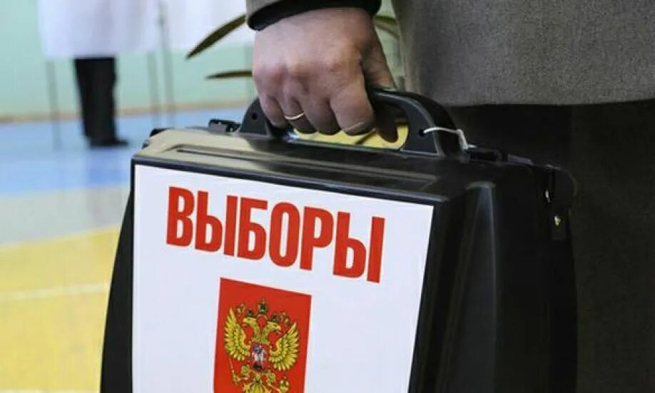 Кто приняться выборы. Выборы. выборы мэра красноярска. выборы мэра москвы.