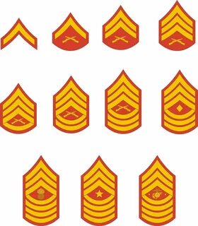 Звание специалист