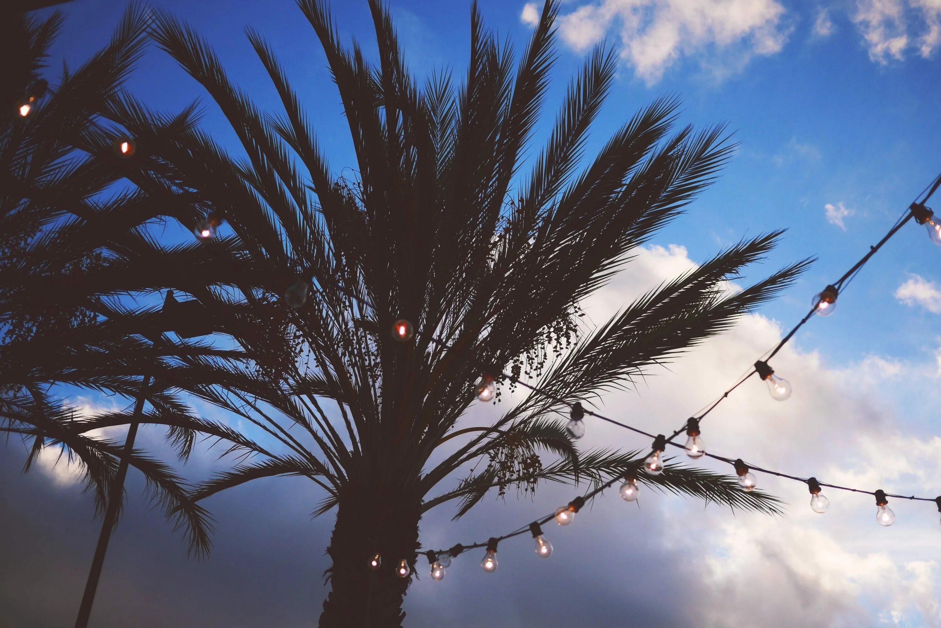 String tree