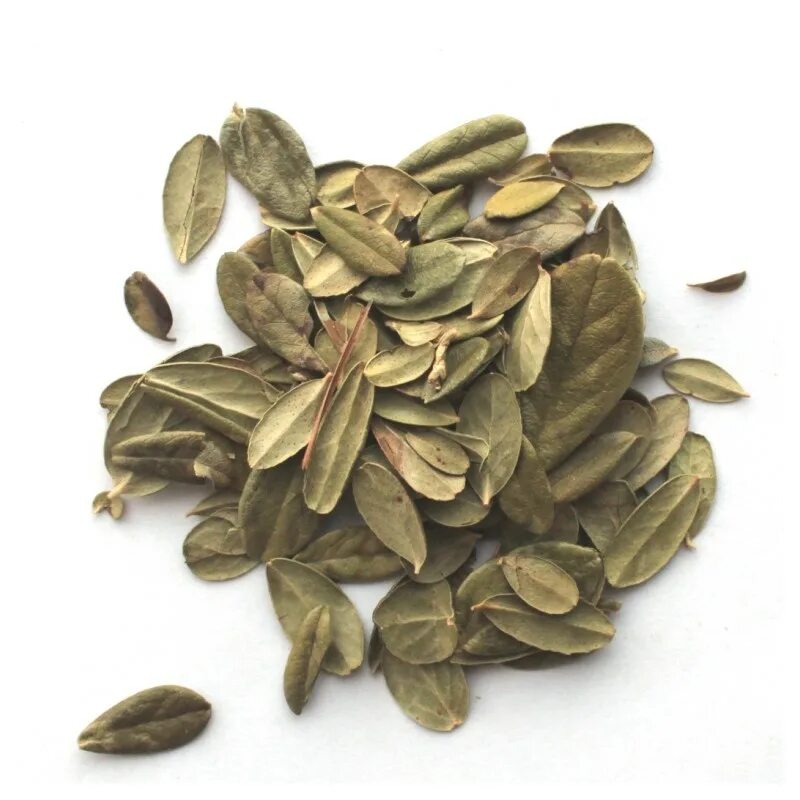 брусника обыкновенная (листья). листья брусники лрс. брусника обыкновенная сырье. сырье брусники. брусника обыкновенная (листья).