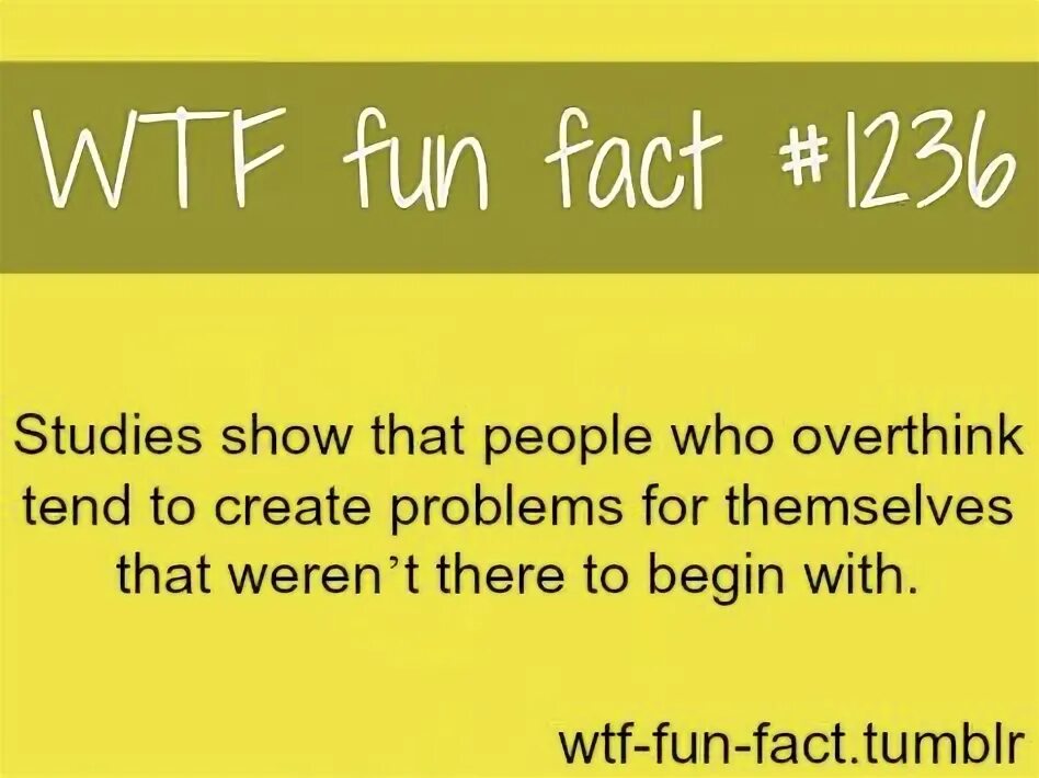 What is a fact. What is a fact
