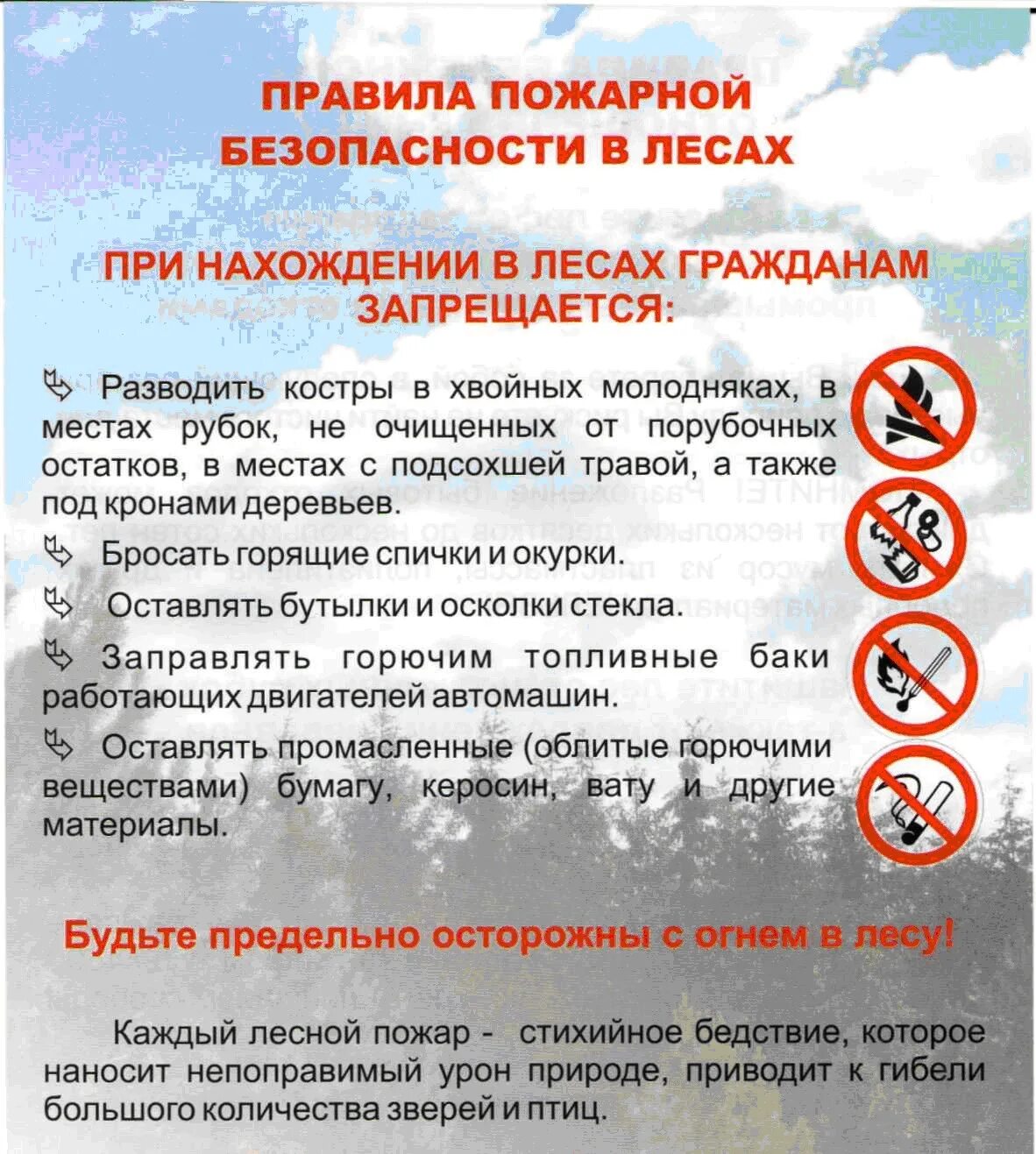 Стенды по противопожарной безопасности в лесу. Памятка по пожарной безопасности в лесах. Правила пожарной безопасности в лесу в лесу. Противопожарные мероприятия в лесах. Правила пожарной безопасности на природе.