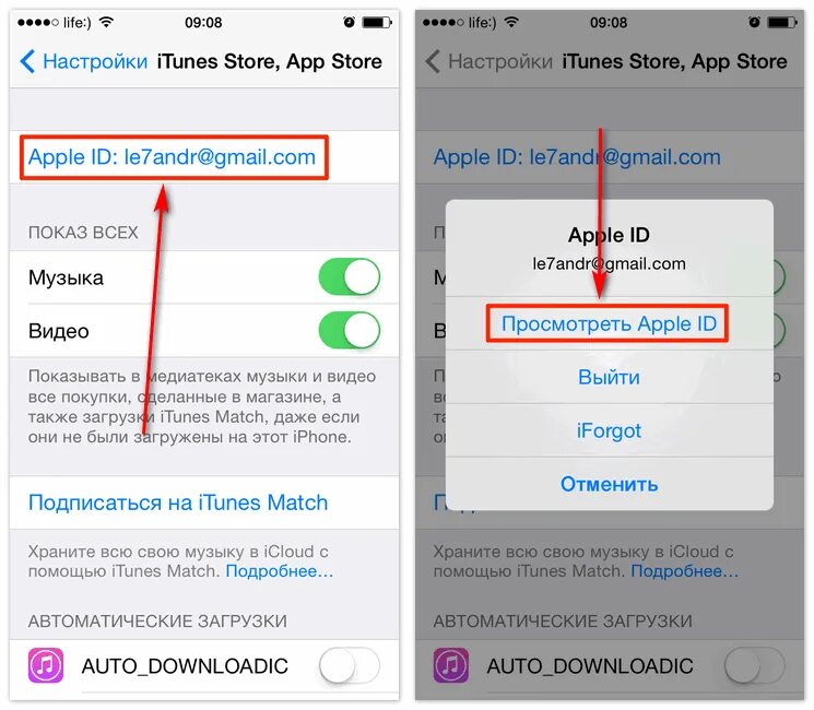 Что такое Apple ID на айфоне 7. Как узнать пароль Apple ID на айфоне 11. Что такое Apple ID на айфоне 6s. Где находится Apple ID В айфоне 11. Appel id