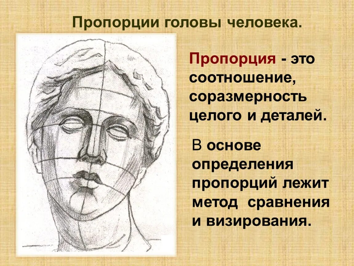 Презентация рисования человека. Пропорция головы человека 6 класс изо рисунок. Конструкция головы человека. Пропорции в изобразительном искусстве. Пропорции головы человека.