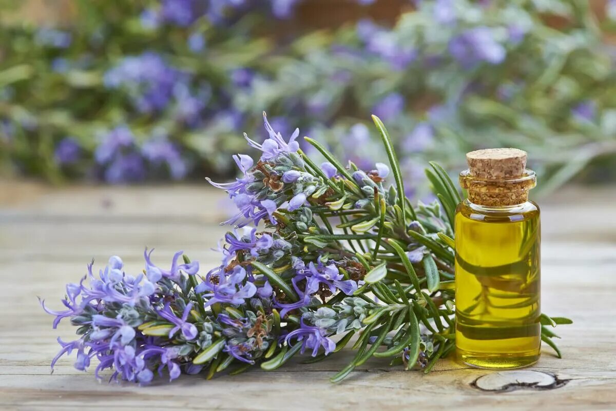 8 DIY Natural Hair Serum Recipes Aglow Lifestyle Natural hair diy, Natural hair