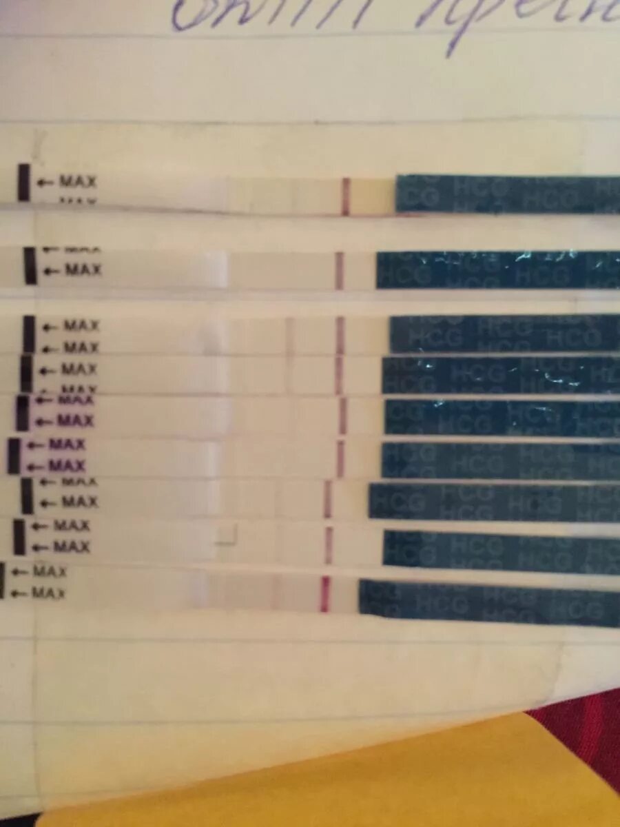 7 дпп тесты форум. 7 ДПП пятидневок тест. Тест на беременность после эко. Тесты после переноса. 6 ДПП тест.