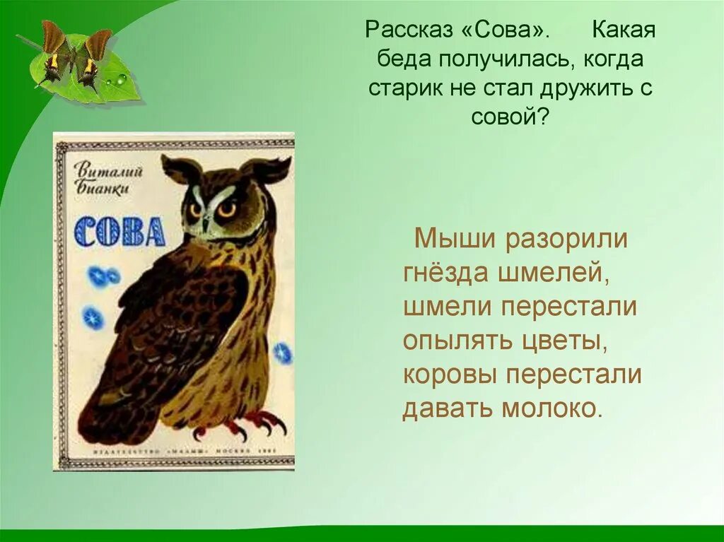 Произведение Виталия Бианки Сова. Рассказ Сова Бианки 2 класс. Рассказ Виталия Бианки Сова. Сказка Сова Бианки.