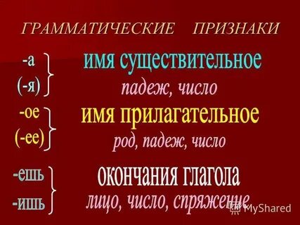Общие грамматические признаки слова