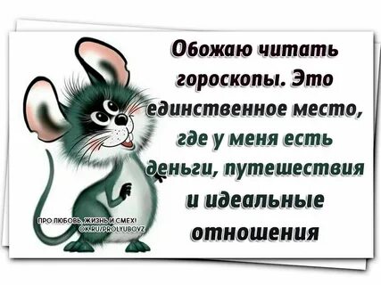 Смешные фразы про любовь
