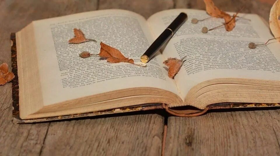 Поэзия картинки. Книга цветы. Поэзия. Поэзия. Раскрытая книга.