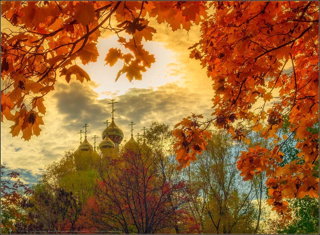 Св осень. Осень. Осень в России. Золотая осень. Золотая осень храм.