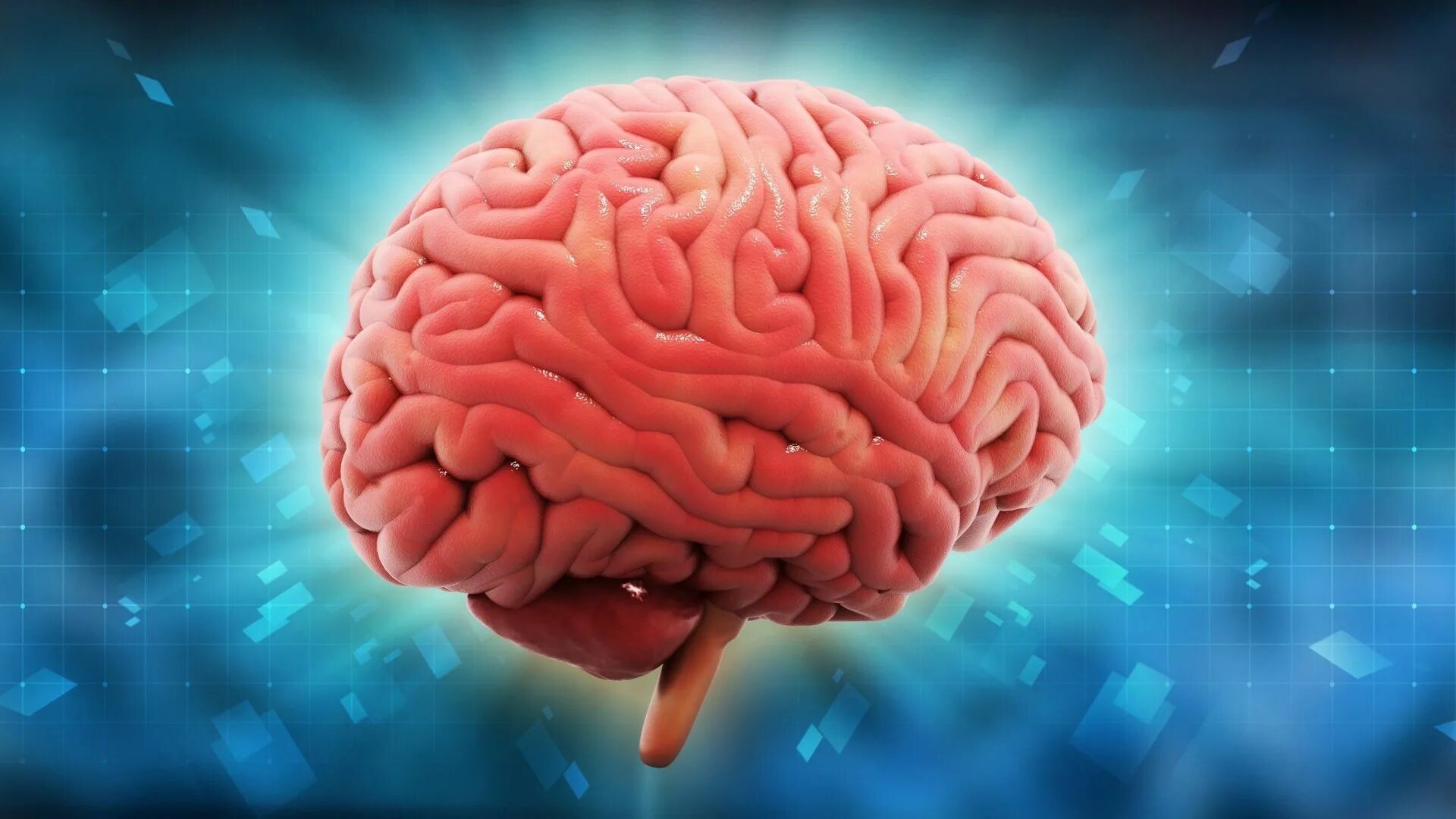 R brain. R brain