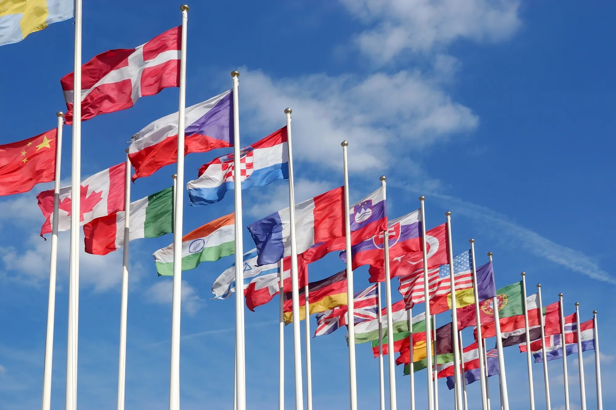 Международные отношения. Флаги государств ООН. Международный флаг. Всемирный флаг.