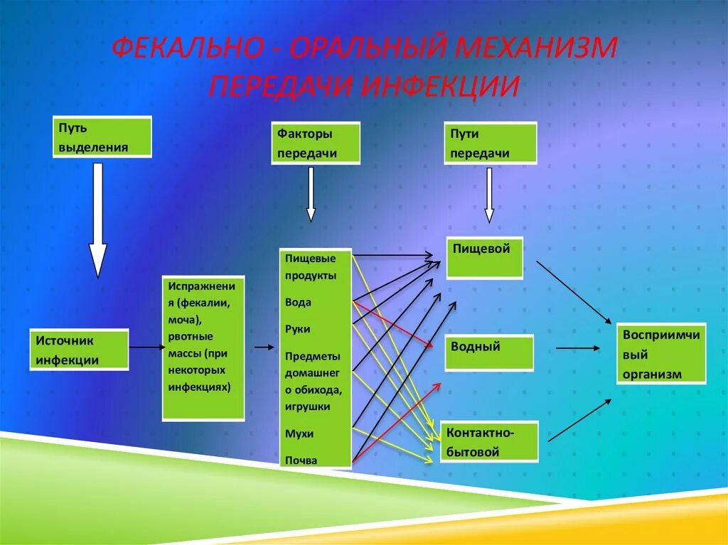 Заболевания через оральный. Заболевания с фекально-оральным механизмом передачи. Фекально-оральный механизм передачи инфекции. Пути передачи фекально-орального механизма. Fekal oralniy mexanizm peredachi infekcii.