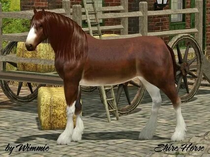 3 hors