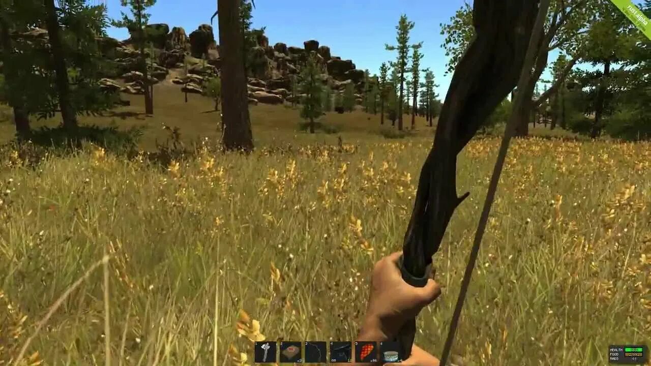 Раст можно ли играть с другом