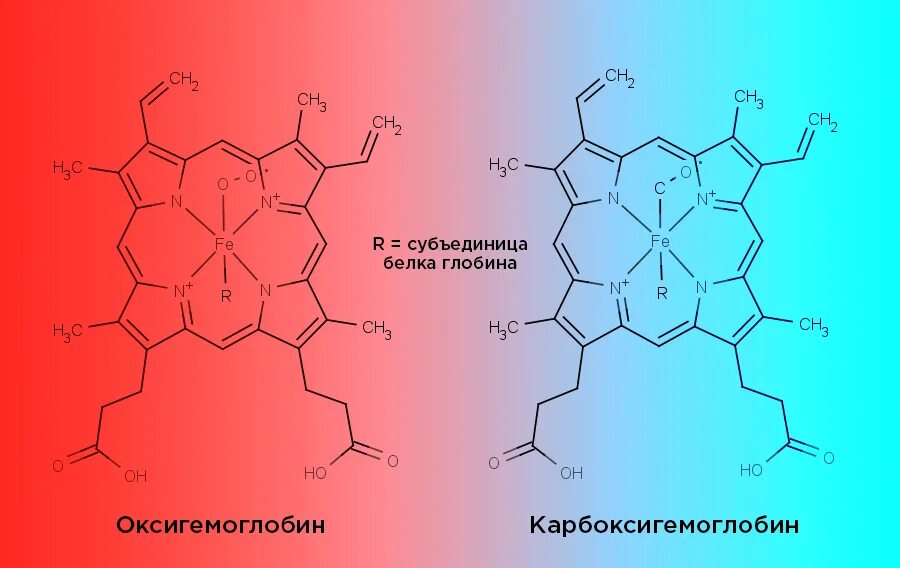 Никотин биохимия. Оксигемоглобин формула химическая. Схема строения оксигемоглобина. Карбоксигемоглобин структурная формула. Карбогемоглобин биохимия.