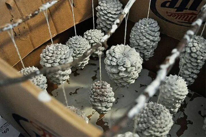 Красим шишки акриловыми красками. Декор "шишка". Аппликация из шишек елка. Декор из цветных шишек. Как покрасить шишки для поделок.