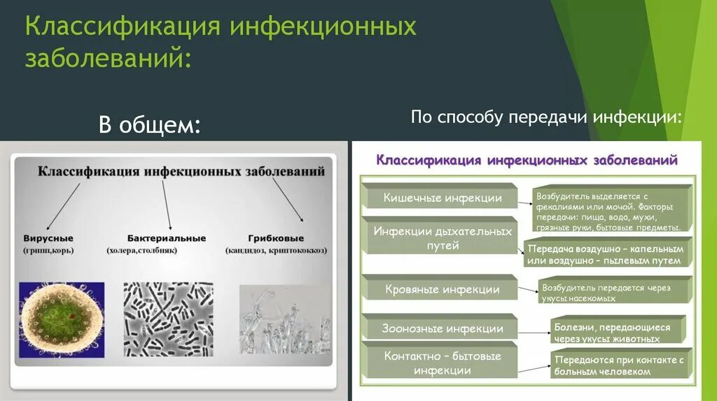 Классификация инфекционных болезней схема. Назовите основные возбудители инфекционных болезней. Классификация возбудителей инфекционных заболеваний. Классификация инфекционных болезней и пути передачи инфекций.. Специфический возбудитель инфекционного заболевания