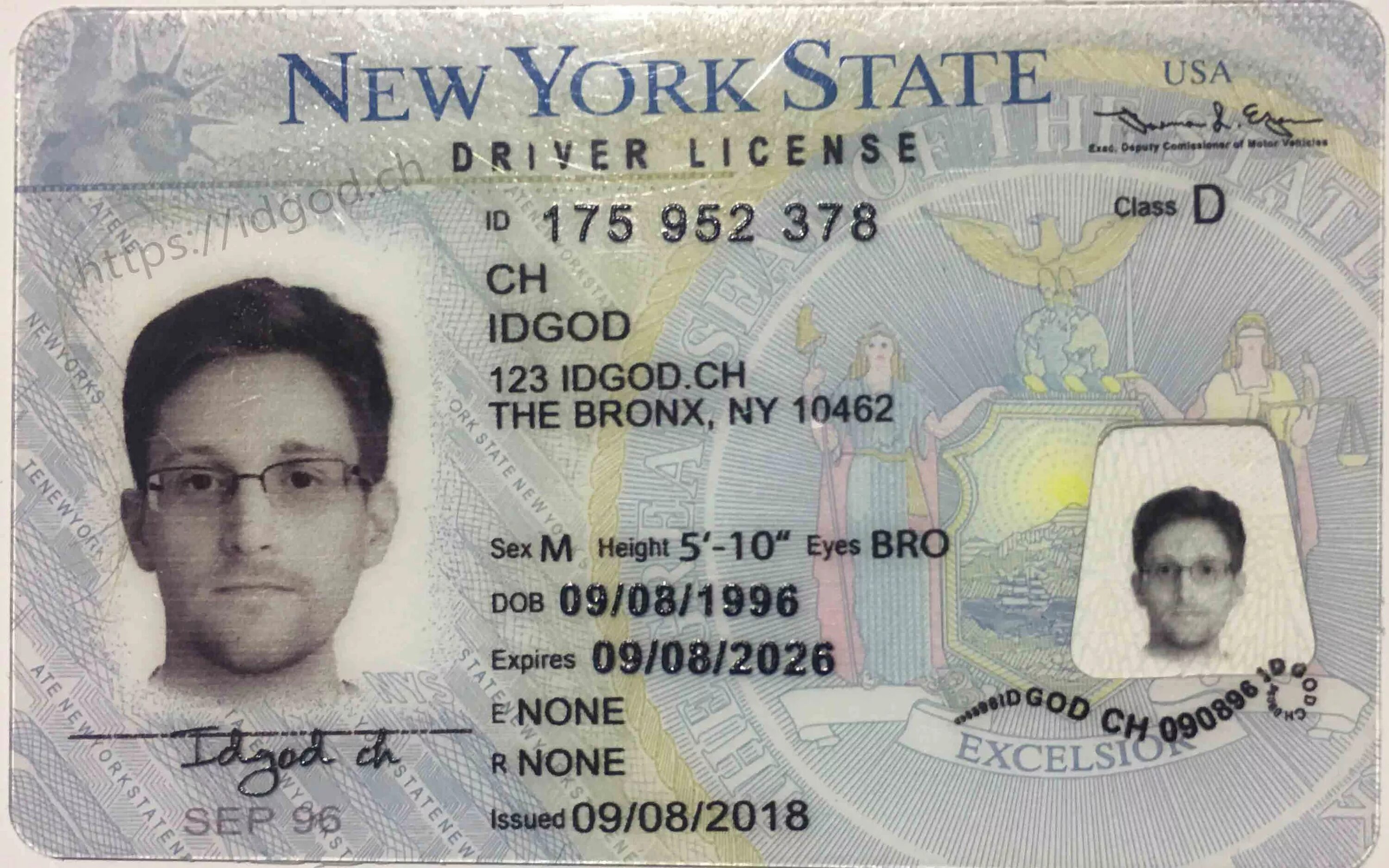 License us. NY Driver License. Driver License USA New York.