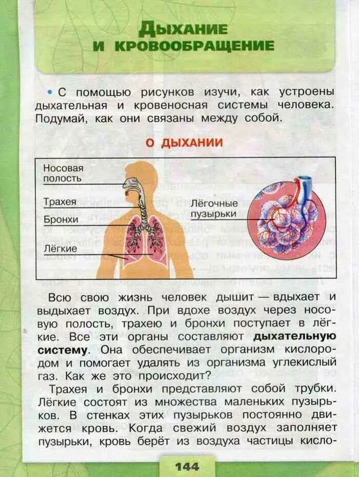 Учебник окружающий мир презентация. Окружающий мир Плешаков учебник 3 класс класс. Окружающий мир 3 класс учебник 1 часть. Окружающий мир 3 класс учебник 3 часть Плешаков. Окружающий мир 3 класс 1 часть Плешаков.