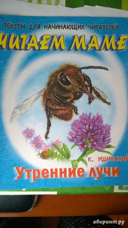 Рассказ утренние лучи ушинский. К д ушинский утренние лучи. Константин ушинский — утренние лучи: рассказ. Утренние лучи константин дмитриевич ушинский книга. Ушинский константин дмитриевич утренние лучи.